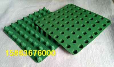 湖北十堰樓頂綠化塑料排水板市場迎來新機遇，建筑建材行業綠色轉型提速